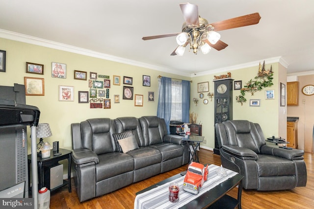 living area featuring crown molding, wood finished floors, and ceiling fan