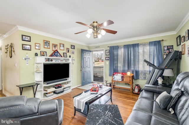 living room with ceiling fan, wood finished floors, and crown molding