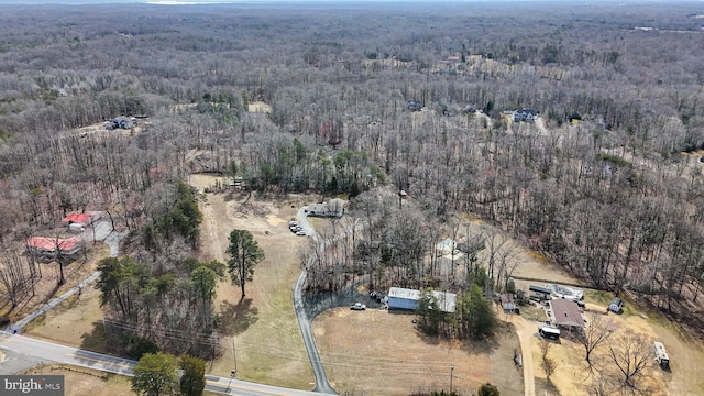 bird's eye view with a view of trees