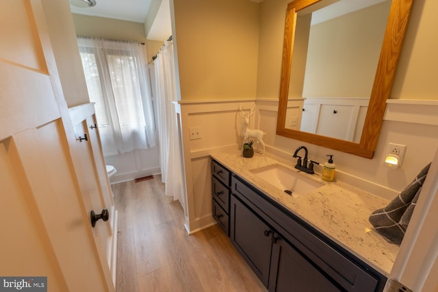 full bathroom featuring toilet, wainscoting, wood finished floors, a decorative wall, and vanity