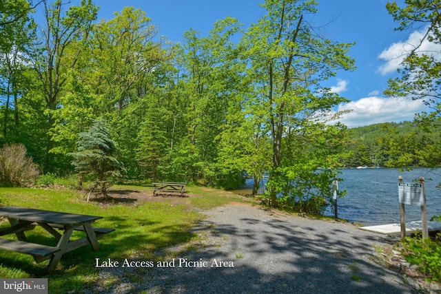 view of community featuring a water view, a forest view, and a dock