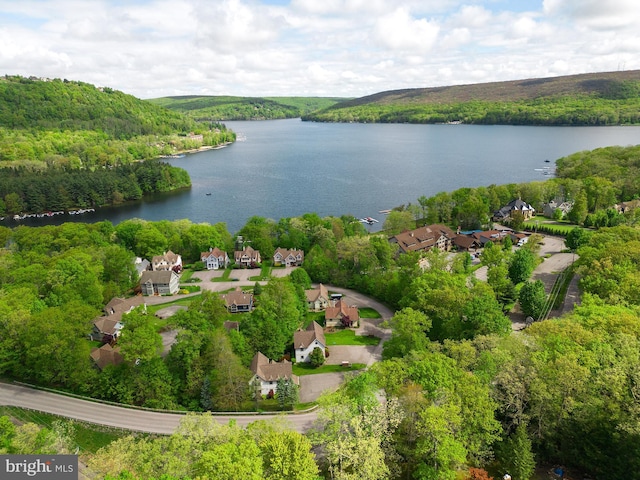 birds eye view of property featuring a water view and a view of trees