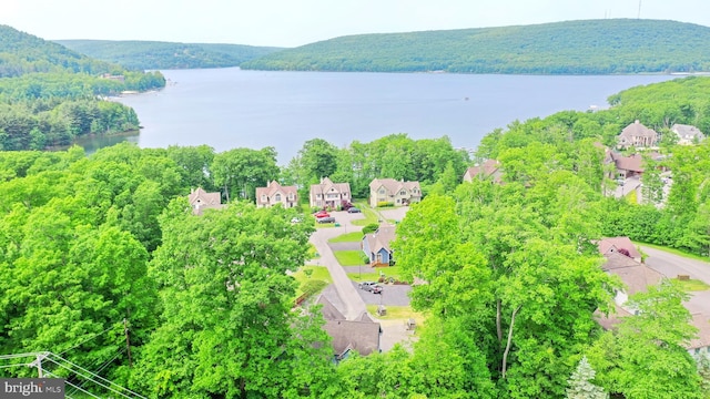 birds eye view of property featuring a residential view, a water view, and a wooded view