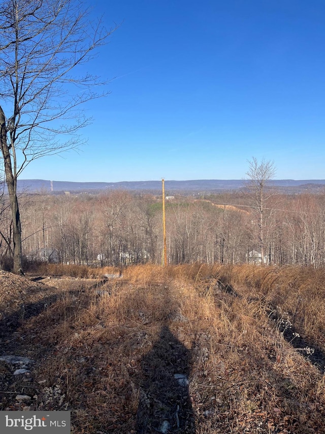 Listing photo 3 for 9 Chiweeny Ln Tracts5 7, Hedgesville WV 25427