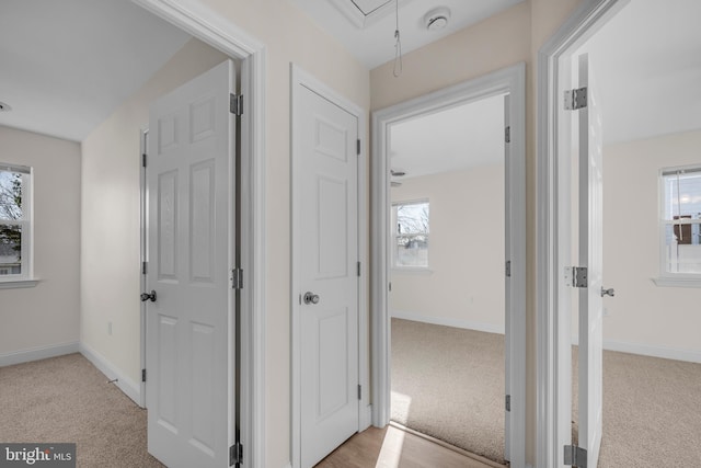 corridor with attic access, carpet flooring, and baseboards