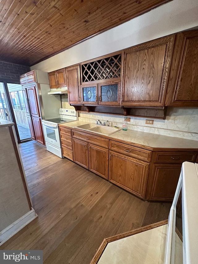 kitchen with stove, electric stove, wood finished floors, and a sink