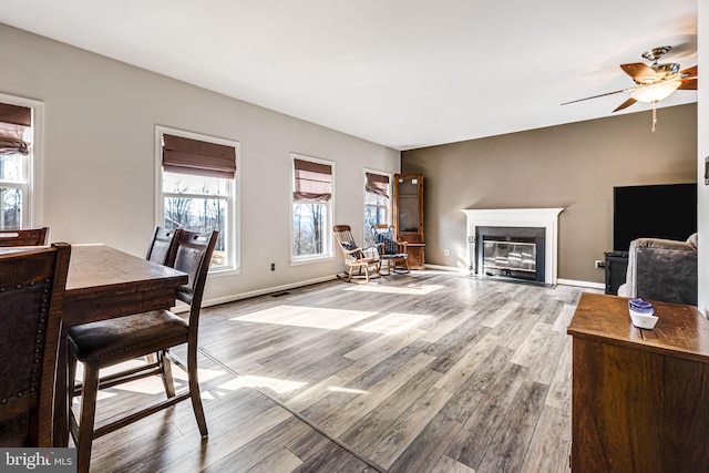 living area featuring a glass covered fireplace, wood finished floors, baseboards, and ceiling fan