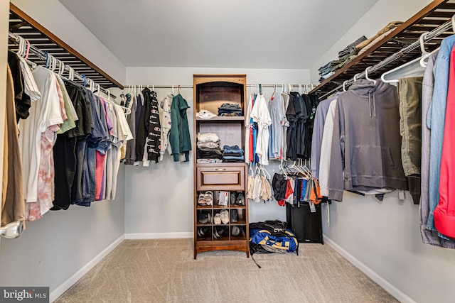 spacious closet with carpet floors