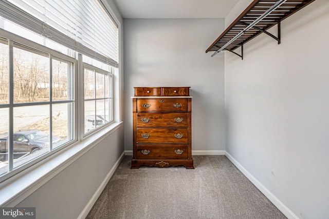 spacious closet featuring carpet