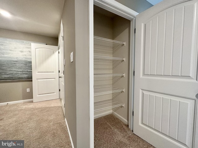 view of closet