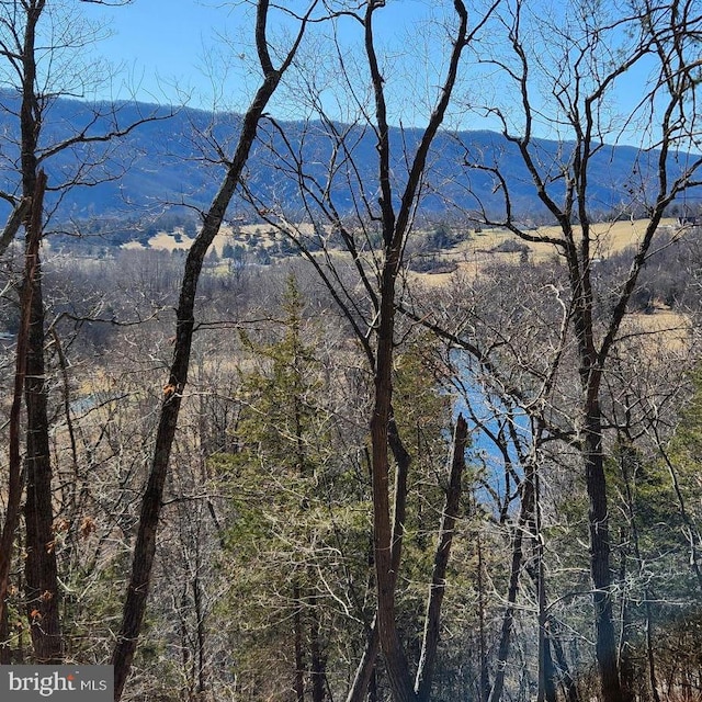 Listing photo 2 for 0 Millner Rd, Strasburg VA 22657