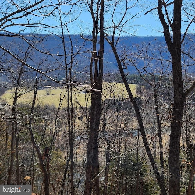 Listing photo 3 for 0 Millner Rd, Strasburg VA 22657