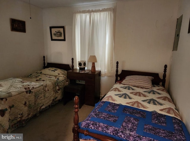 bedroom featuring carpet floors