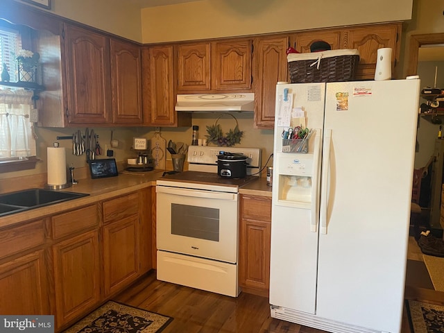 kitchen featuring under cabinet range hood, a healthy amount of sunlight, white appliances, and brown cabinetry