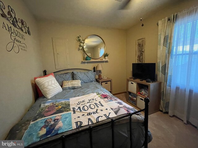 bedroom with light colored carpet