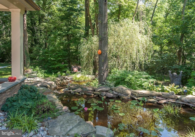 view of landscape with a small pond