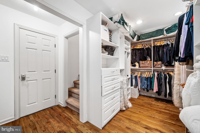 spacious closet featuring wood finished floors