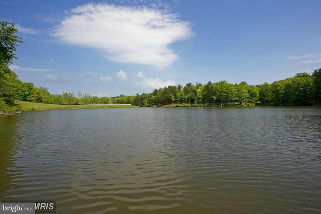 water view with a wooded view