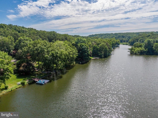 aerial view with a water view and a wooded view