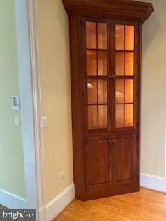 details featuring baseboards and wood finished floors