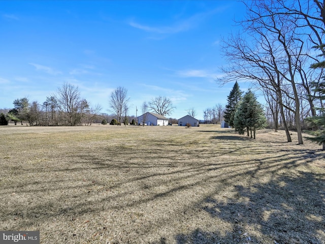 view of yard featuring a rural view