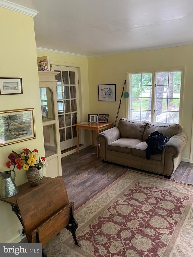 living area featuring ornamental molding and wood finished floors