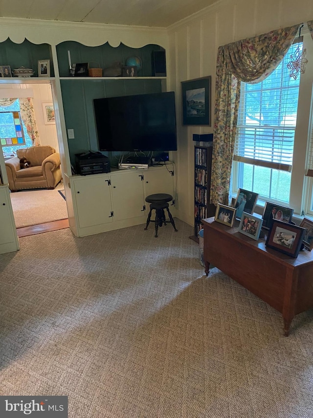 living area with carpet floors