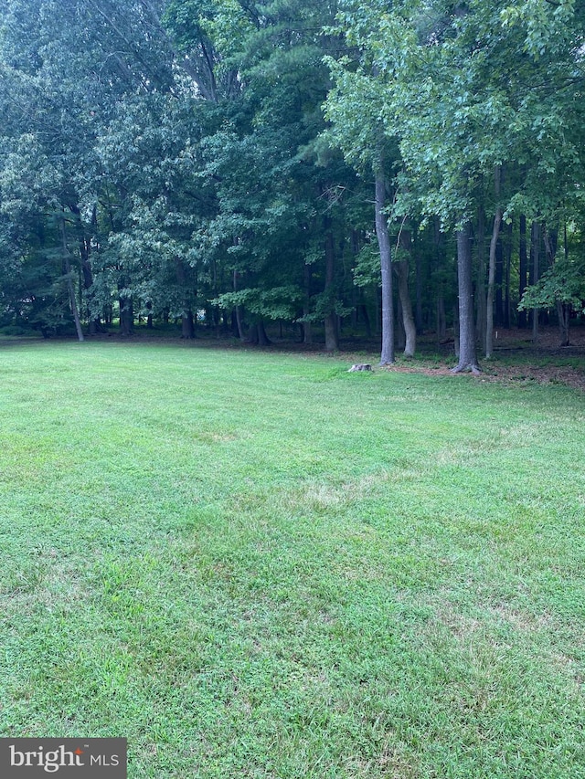 view of yard featuring a forest view