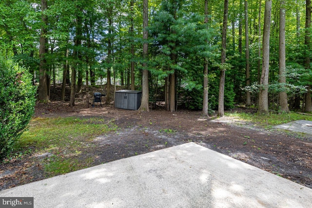 view of yard with a storage unit, a patio, and an outbuilding