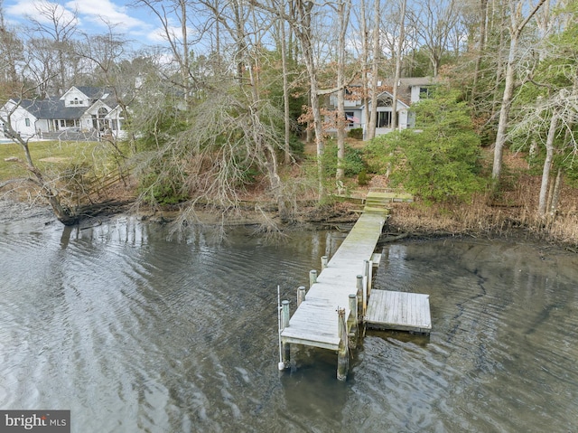 dock area featuring a water view