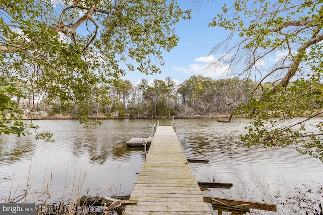 dock area featuring a water view