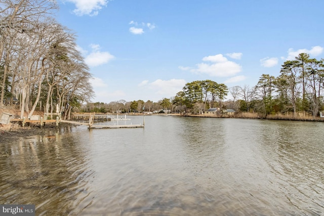 view of water feature featuring a boat dock