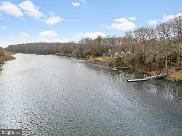 water view featuring a wooded view and a boat dock