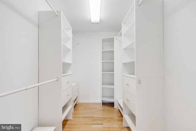 walk in closet with light wood finished floors