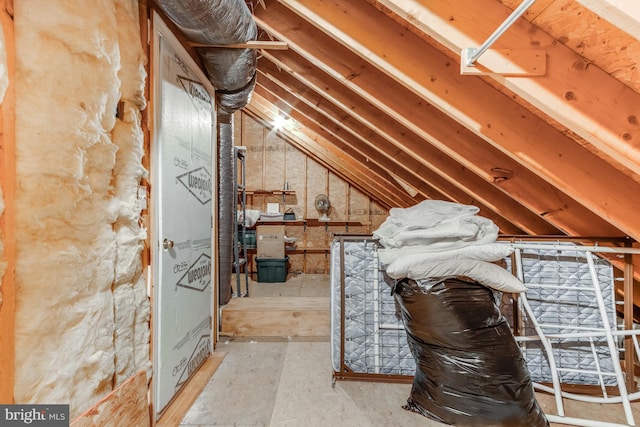 214 Waterford Dr, Lewes, DE 19958 - view of unfinished attic