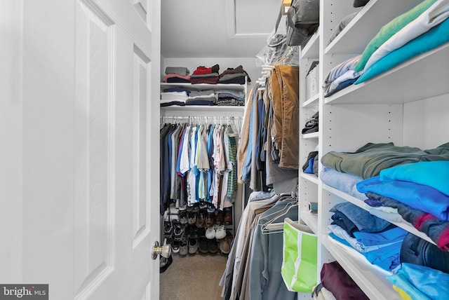 spacious closet featuring carpet floors and attic access