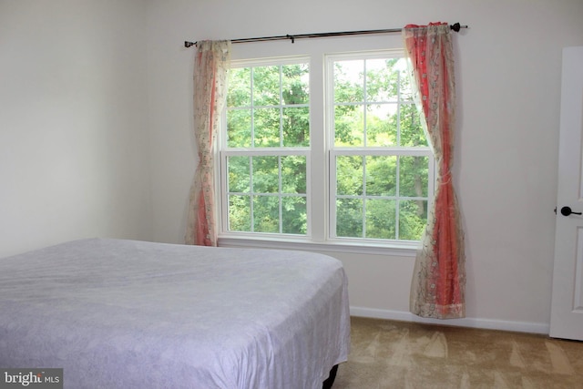 bedroom featuring baseboards, multiple windows, and carpet floors