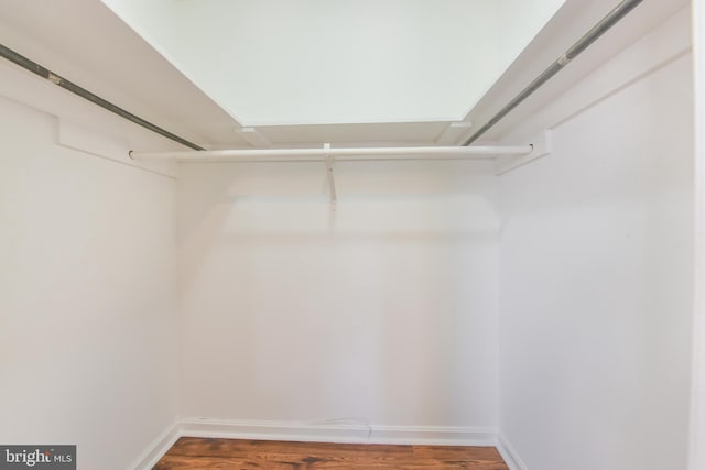 walk in closet featuring wood finished floors