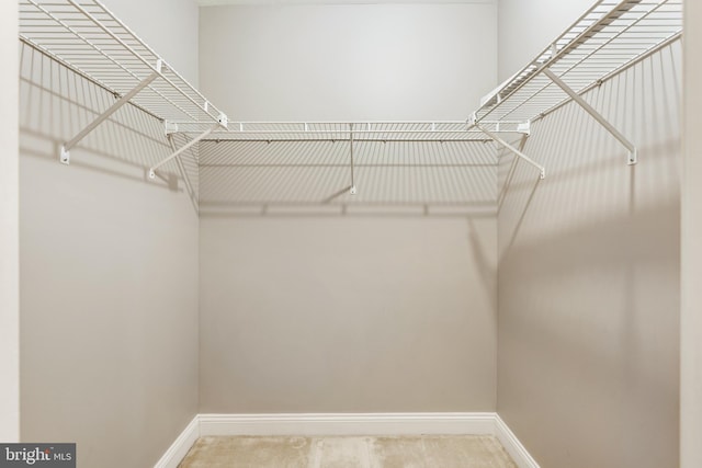 spacious closet with carpet floors