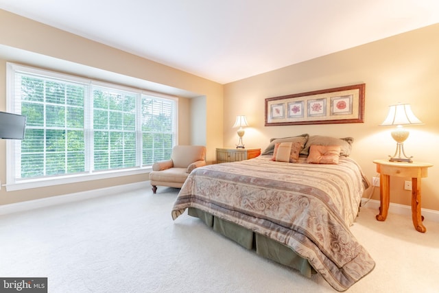 1052 Cedar Mill Ln, West Chester, PA 19382 - carpeted bedroom featuring baseboards