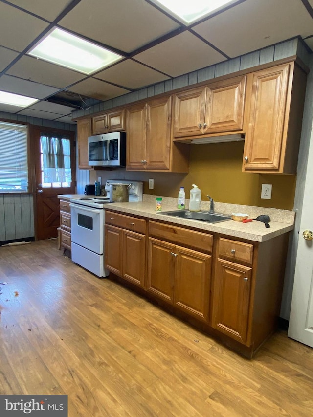 kitchen with a sink, light countertops, electric stove, light wood-style floors, and stainless steel microwave