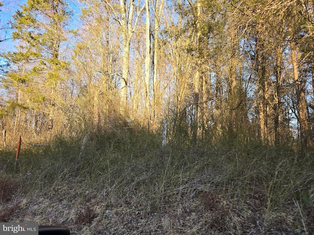 0 Eggbornsville, Rixeyville VA, 22737 land for sale