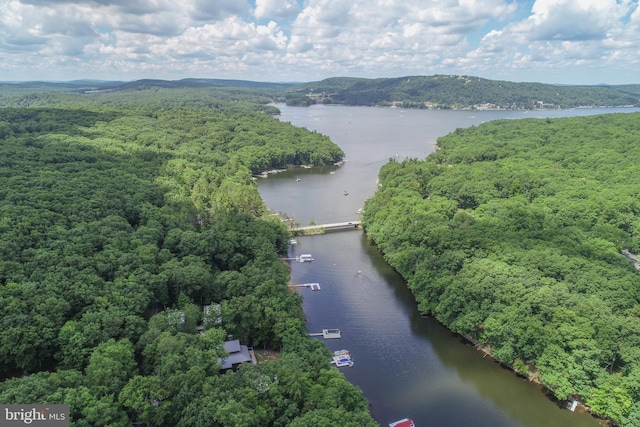 birds eye view of property with a wooded view and a water view