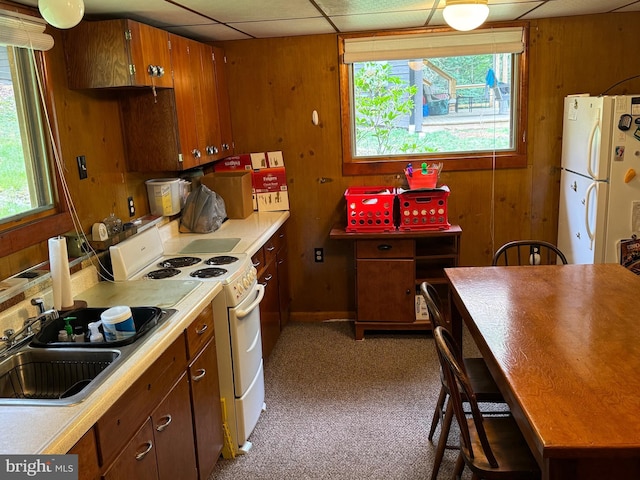 kitchen with wood walls, white appliances, a healthy amount of sunlight, and a sink