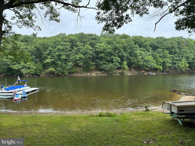 view of water feature with a view of trees and a floating dock