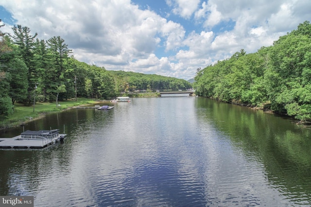 water view with a wooded view and a floating dock