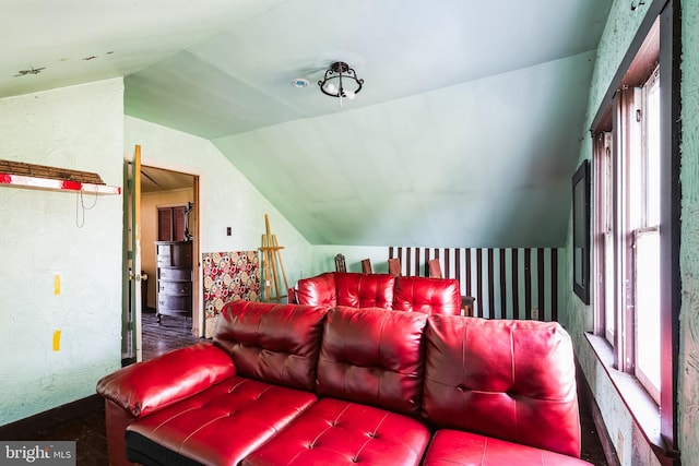 cinema featuring lofted ceiling and a textured wall