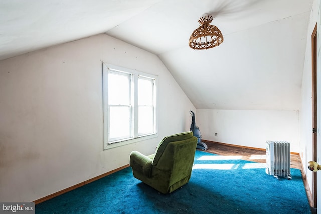 additional living space featuring vaulted ceiling, radiator, carpet, and baseboards