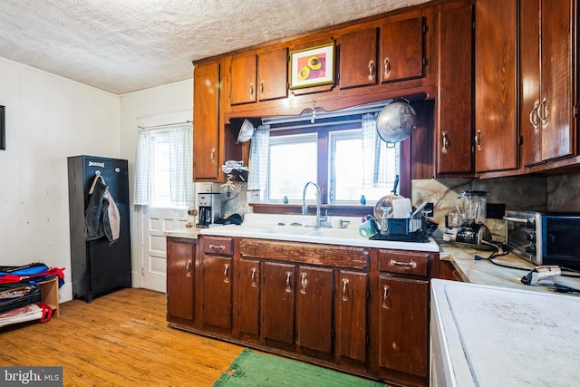 kitchen with light wood finished floors, a toaster, a sink, light countertops, and a textured ceiling