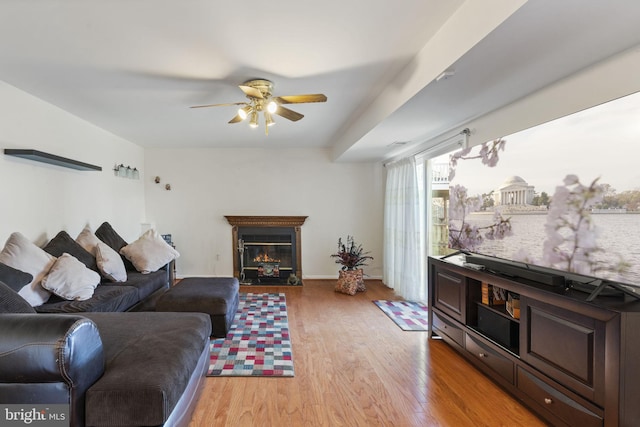 living room featuring a fireplace with flush hearth, a ceiling fan, and light wood finished floors